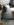 Snapchat-5998184310157869140[1].jpg