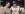 IMG_0553.PNG