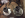 upload_2016-12-17_14-50-16.png