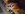 heads2.jpg
