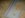 DSC00256.JPG