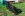 DCP_3064buckets73.jpg