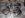 IM002292.jpg
