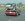 JACKASS2.JPG