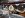 shorty headers1.jpg