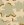 Desertcamo.JPG