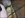 body 8.jpg
