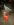 20170107_122013.jpg
