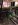 IMG_0525.JPG