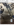 IMG_1437.PNG
