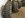 IMG_0216.JPG IMG_0216.JPG