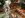 IMG_1157.JPG IMG_1157.JPG