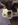 intake pic.png