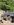 IMG_2685 (2).PNG