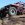 little red buggy.jpg