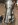 37065.jpeg