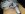 36553.jpeg
