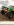 IMG_5041.PNG