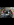 IMG_1654.PNG