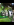 IMG_1648.PNG