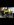 IMG_1661.PNG