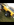 IMG_1674.PNG