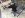 image7.jpeg
