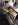 image11.jpeg