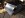 image17.jpeg