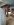 00707_hVzP4HXJGkO_1200x900.jpg