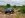 E7FB7533-936A-45A1-AFF0-2FEF34F32CDF.JPG
