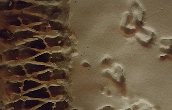 20161117_203246.jpg