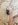 20170516_185744.jpg