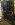 K5 Hood, underside.jpg K5 Hood, underside.jpg