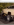 IMG_5157.PNG