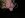 DSC01534.JPG