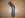 Starter Brace 002.jpg