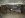 DSC01565.JPG