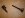 DSC00024 (Medium).JPG
