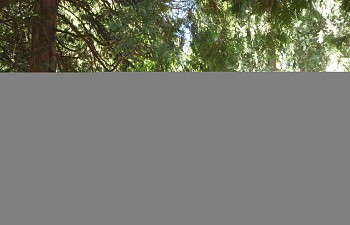 P5290666_zpsew5tql9o.JPG