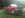 Junkyard truck 2.jpg