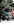 IMG_5192.PNG