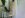 fullsizeoutput_879.jpeg