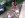 IMG_8748 - Copy.JPG
