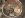 Oldbodymounts.jpg