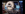 IMG_5246.PNG