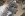 upload_2017-7-8_21-48-38.jpeg