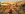 IMG_5266.PNG