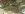 20160712_183120_zpsn2obdygi.jpg