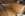 DSC_0542_zps4dssybmn.jpg